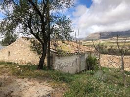 Casa con terreno en venta en Chirivel, Los blancos photo 0