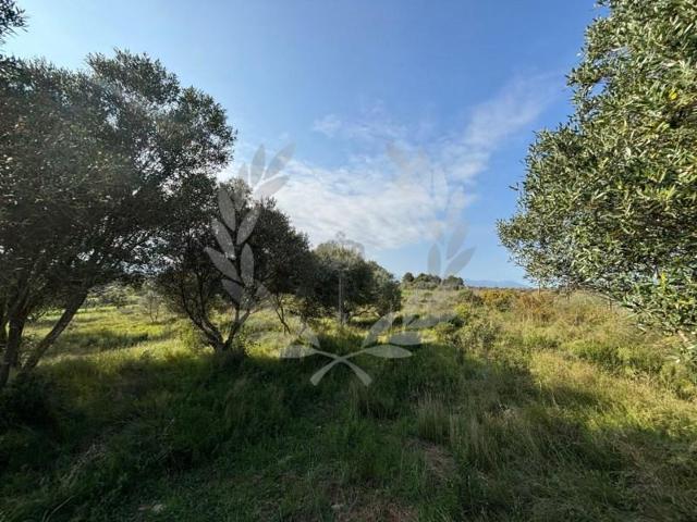 Terreno en venta en Pedret i Marzà photo 0