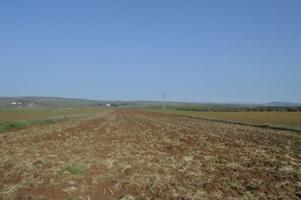 Terreno en venta en Mérida, Vivero photo 0