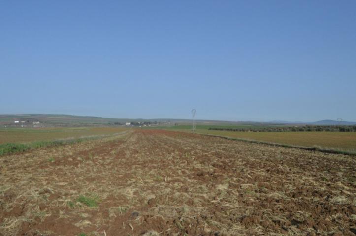 Terreno en venta en Mérida, Vivero photo 0