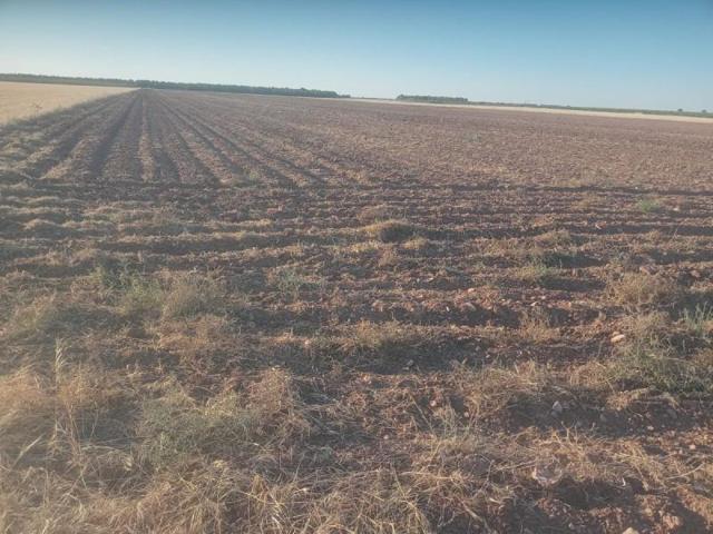 Chalet en venta en Argamasilla de Alba, Argamasilla De Alba photo 0