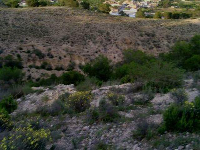 Terreno en venta en Alguazas, Alguazas photo 0