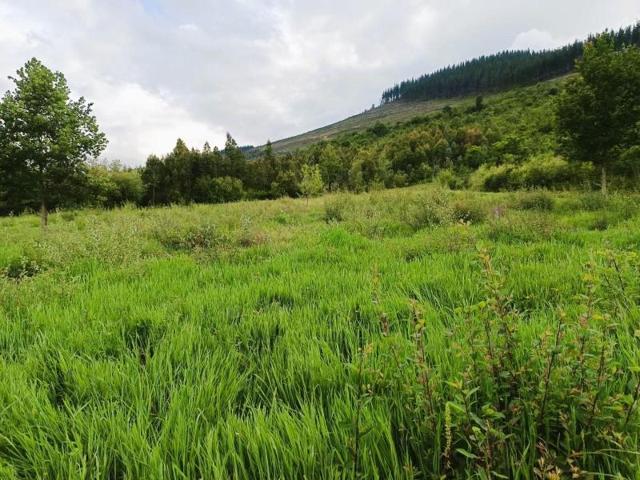 Terreno en venta en Okondo, Okondo photo 0