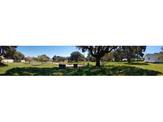 Terreno en venta en Florida de Liébana photo 0