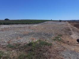 Terreno en venta en Sanlúcar de Barrameda, Los naranjos photo 0