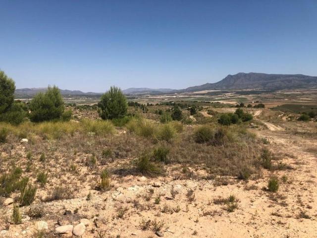 Terreno en venta en Jumilla, ZARZA photo 0