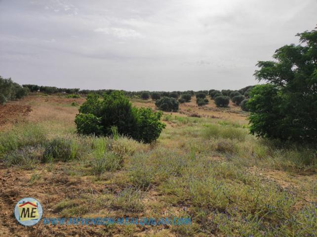 Chalet en venta en Marchena, Los Abrigosos photo 0