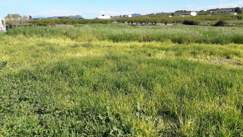 Terreno en venta en Moratalla photo 0