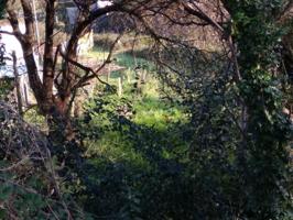 Terreno en venta en Vigo, Florida photo 0