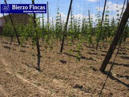 Terreno en venta en Benavides, San feliz de orbigo photo 0