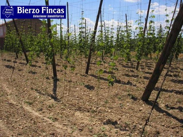 Terreno en venta en Benavides, San feliz de orbigo photo 0