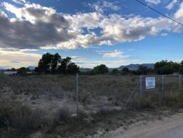 Terreno en venta en Fortuna, Fortuna photo 0