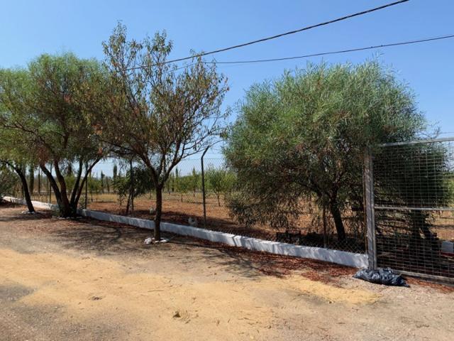 Terreno en venta en Morón de la Frontera, Valle Verde photo 0