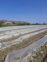 Terreno en venta en Cuevas del Almanzora, CRUCE DE ARNILLA photo 0