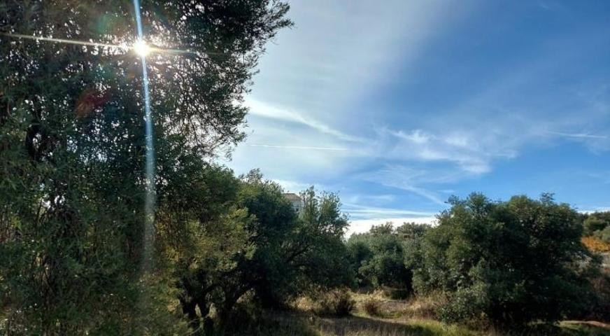 Terreno en venta en Nívar, Nívar photo 0