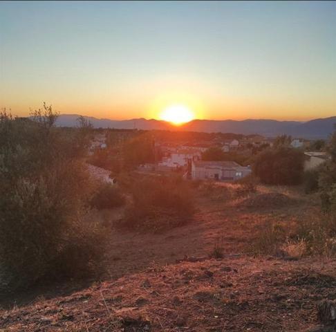 Terreno en venta en Nívar, Nívar photo 0
