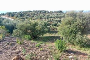 Terreno en venta en Nívar, CENTRICO photo 0