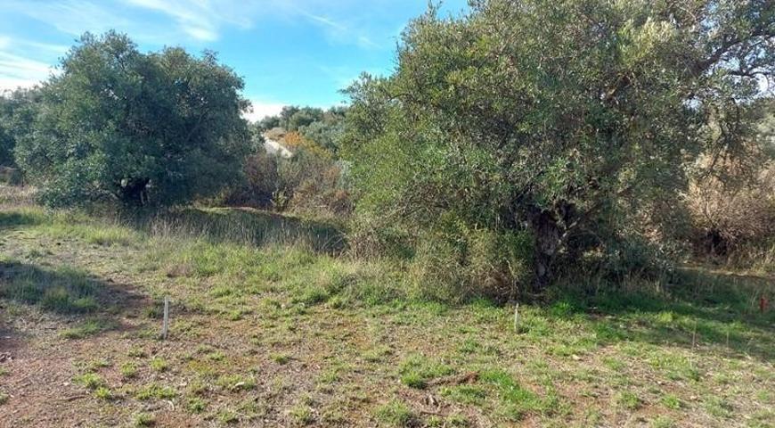 Terreno en venta en Nívar, CENTRICO photo 0