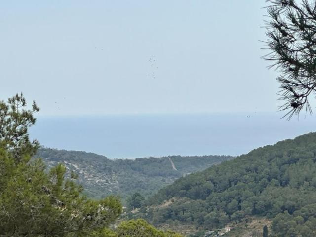 Terreno en venta en Castellet i la Gornal, Valldemar photo 0