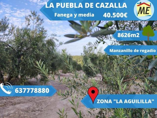 Chalet en venta en La Puebla de Cazalla, La Puebla De Cazalla photo 0