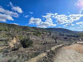 Terreno en venta en Monovar-Monover, MONÓVAR photo 0