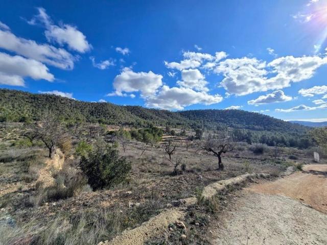 Terreno en venta en Monovar-Monover, MONÓVAR photo 0