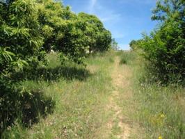 Terreno en venta en Cabañas Raras, Cabañas raras photo 0