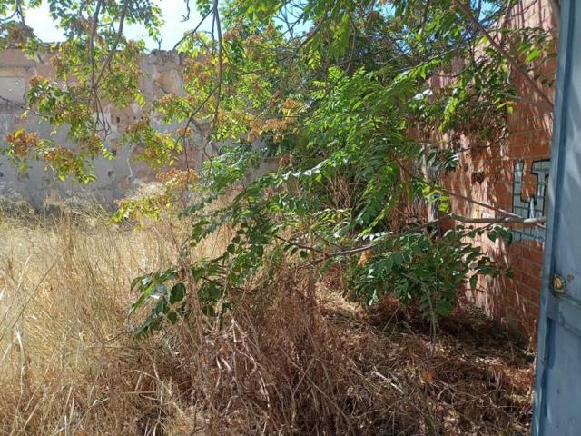 Terreno en venta en Argamasilla de Alba, Argamasilla De Alba photo 0