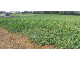 Terreno en venta en Carral, Bacelo photo 0