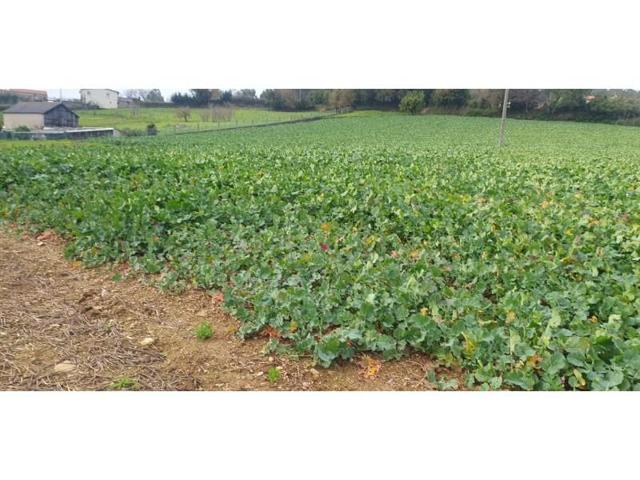 Terreno en venta en Carral, Bacelo photo 0