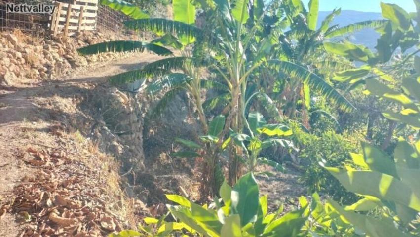 Casa con terreno en venta en Piñar photo 0