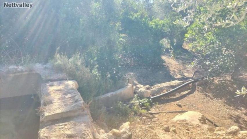 Casa con terreno en venta en Piñar photo 0