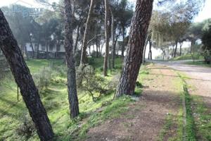 Terreno en venta en Córdoba, Cerro Muriano photo 0