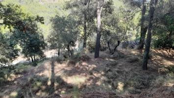 Terreno en venta en Almoster, Almoster photo 0