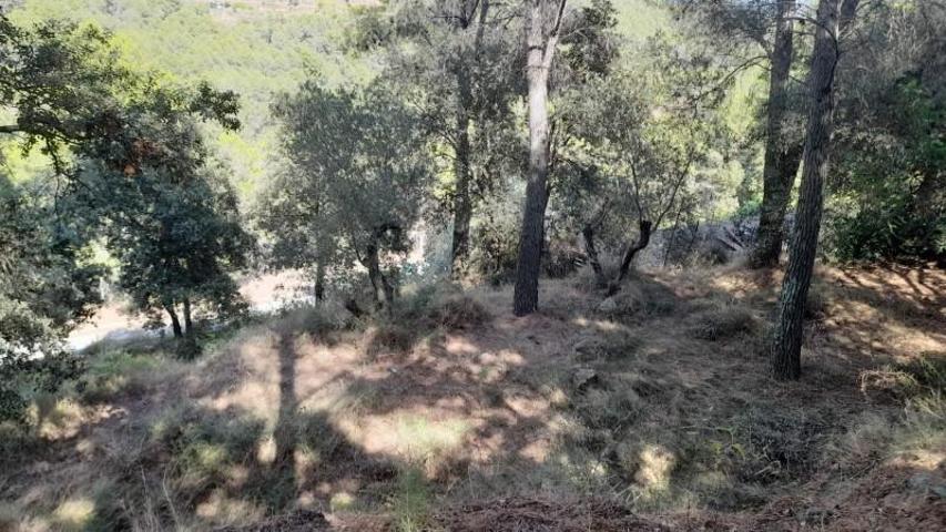 Terreno en venta en Almoster, Almoster photo 0