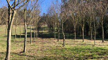 Terreno en venta en Ordes photo 0