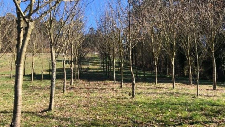 Terreno en venta en Ordes photo 0