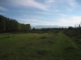 Terreno en venta en Cabañas Raras, Cortiguera photo 0