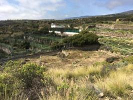 Terreno en venta en Güimar, El Escobonal photo 0