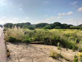 Terreno en venta en Puerto Real, Barrio jarana photo 0