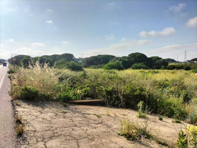 Terreno en venta en Puerto Real, Barrio jarana photo 0