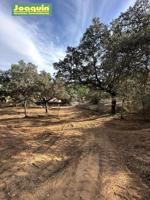 Terreno en venta en Córdoba, Trassierra photo 0