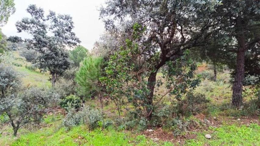 Terreno en venta en Villa del Prado photo 0