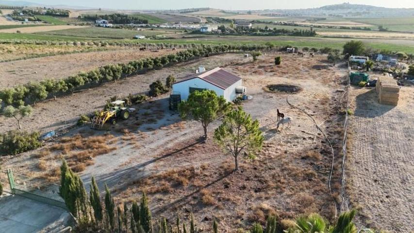 Casa con terreno en venta en Las Cabezas de San Juan, ZONA TORRALVA photo 0
