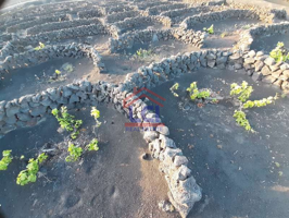 Terreno en venta en Yaiza, La Geria photo 0