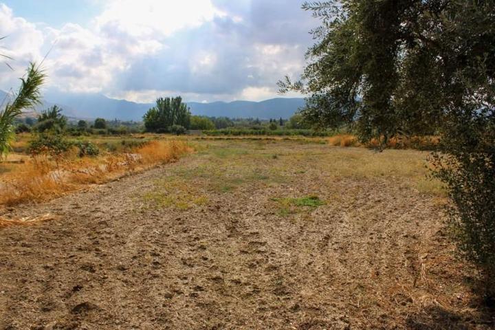 Chalet en venta en Otura, Vega de granada zona sur photo 0