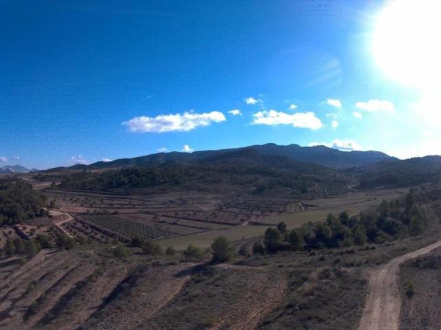 Terreno en venta en Jumilla, ZARZA photo 0