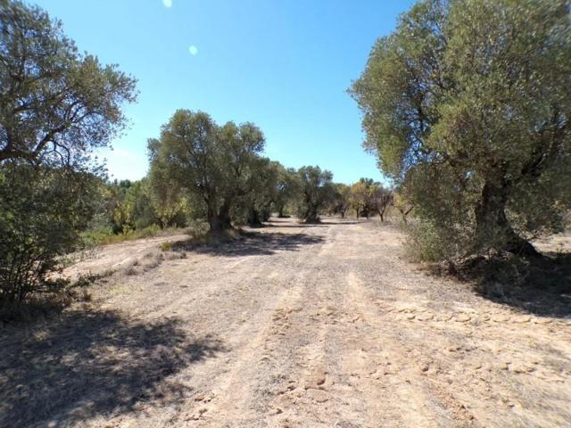 Chalet en venta en Calaceite, Aragon photo 0