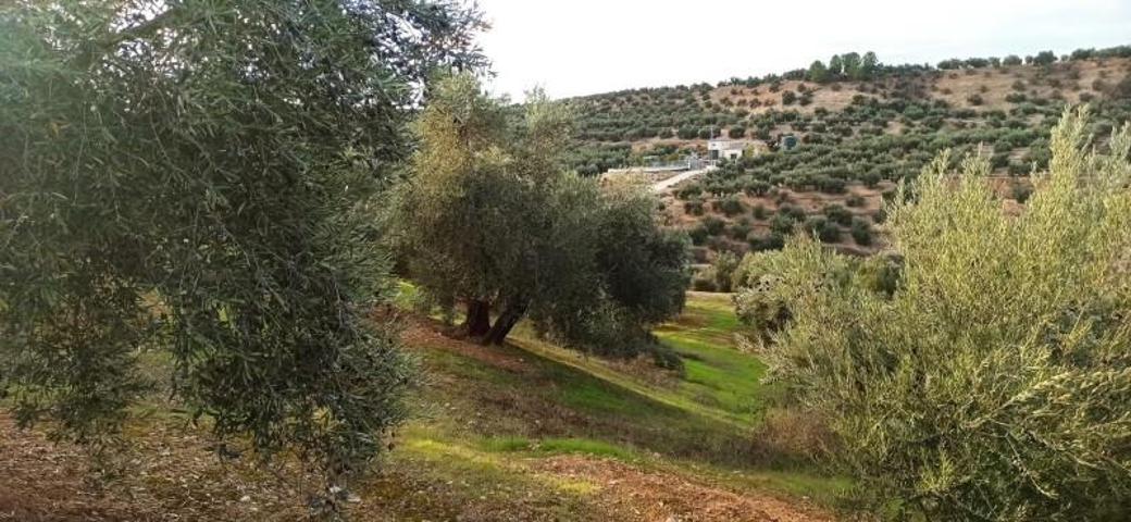 Terreno en venta en Villatorres, Villatorres photo 0