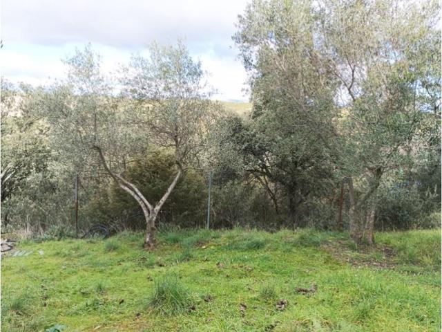 Terreno en venta en Casar photo 0